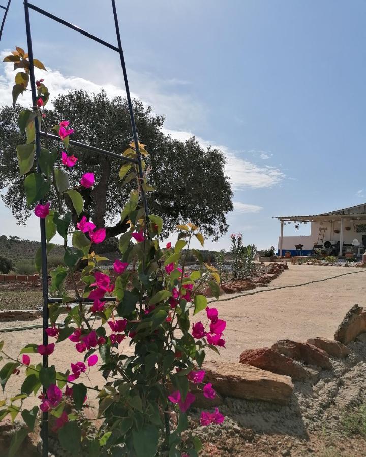 Monte Beatriz Villa Reguengos de Monsaraz Ngoại thất bức ảnh