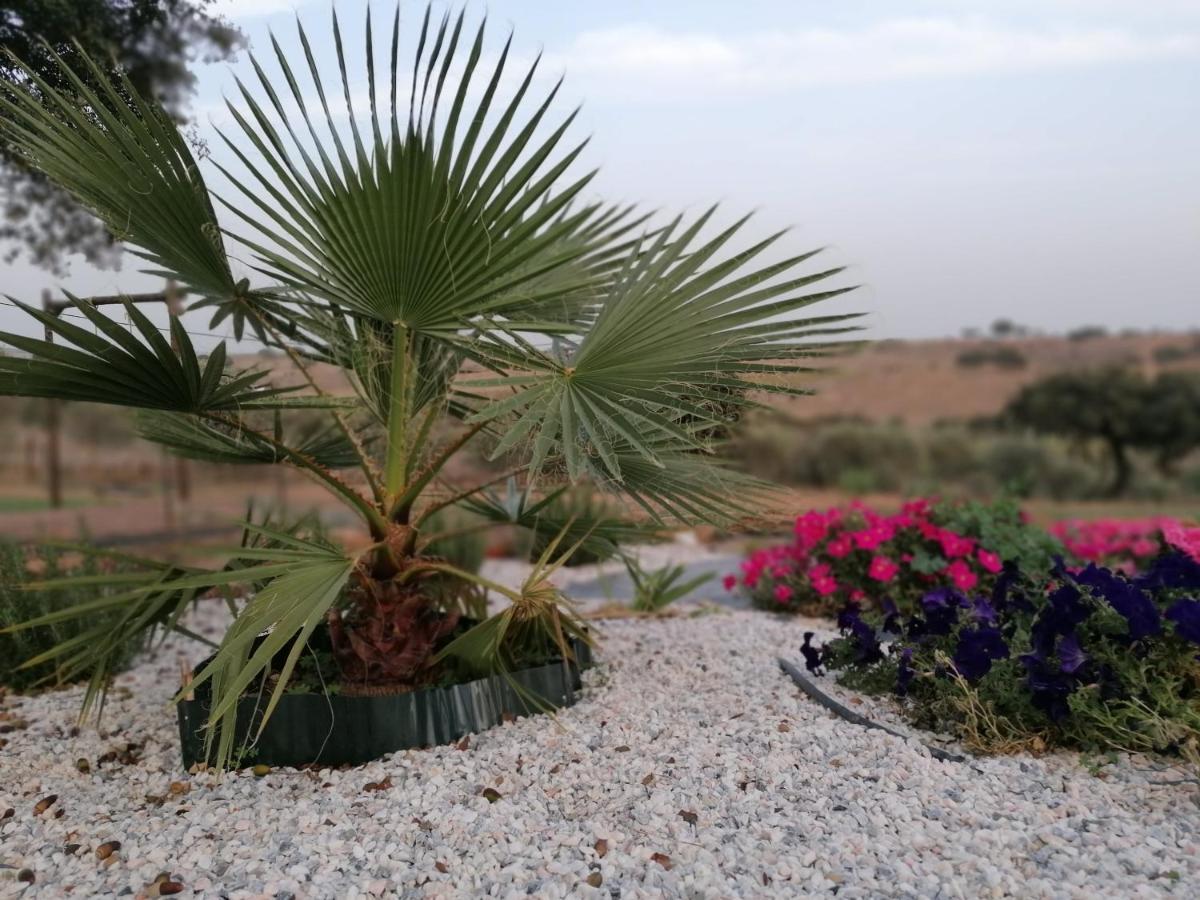 Monte Beatriz Villa Reguengos de Monsaraz Ngoại thất bức ảnh