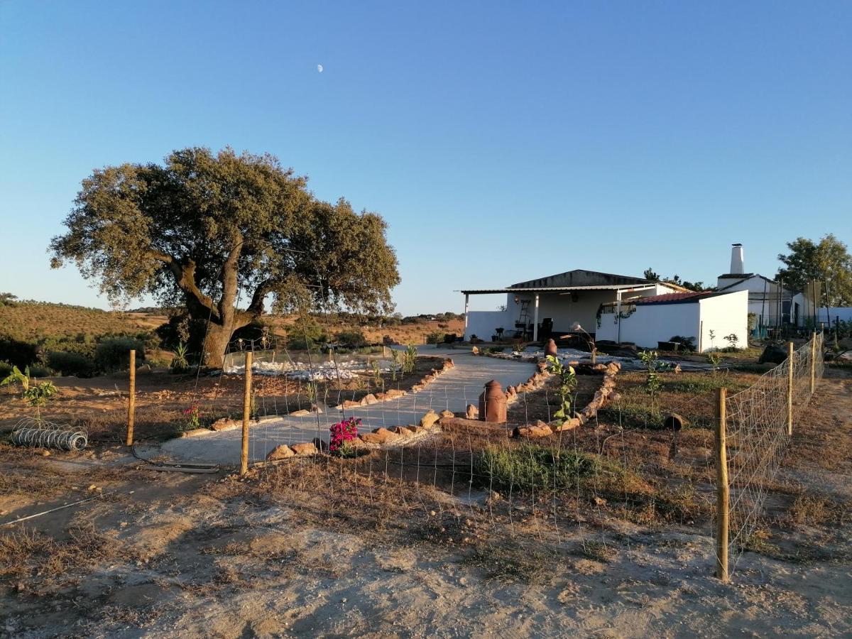 Monte Beatriz Villa Reguengos de Monsaraz Ngoại thất bức ảnh